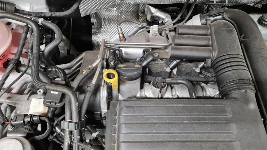 Oil dipstick example image for step check